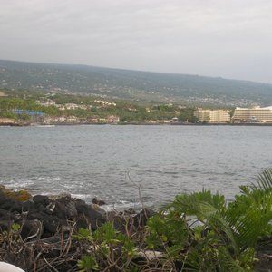 Meet your Posher, Nicky